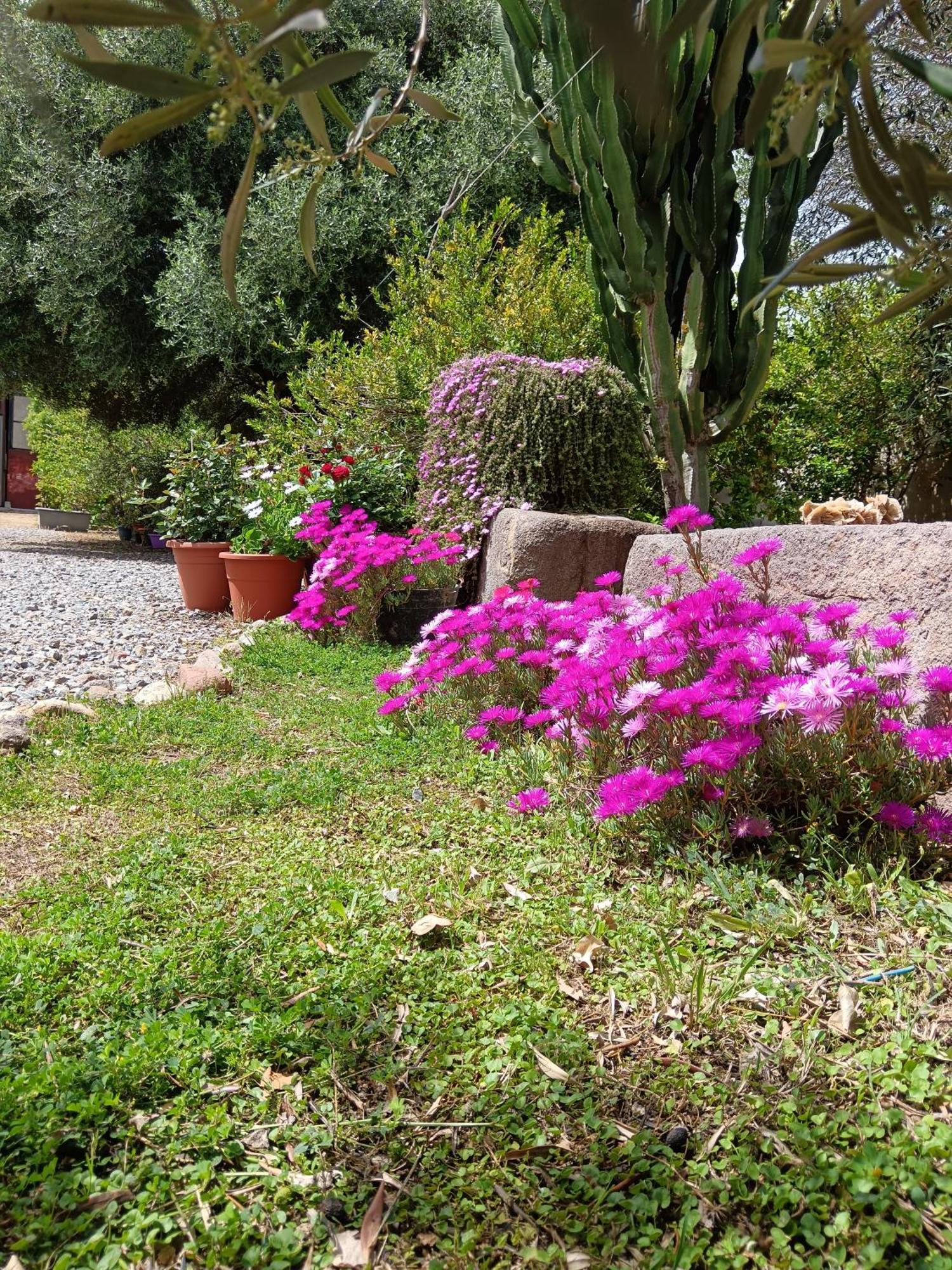 Sulcis Camere San Giovanni Suèrgiu Exteriér fotografie